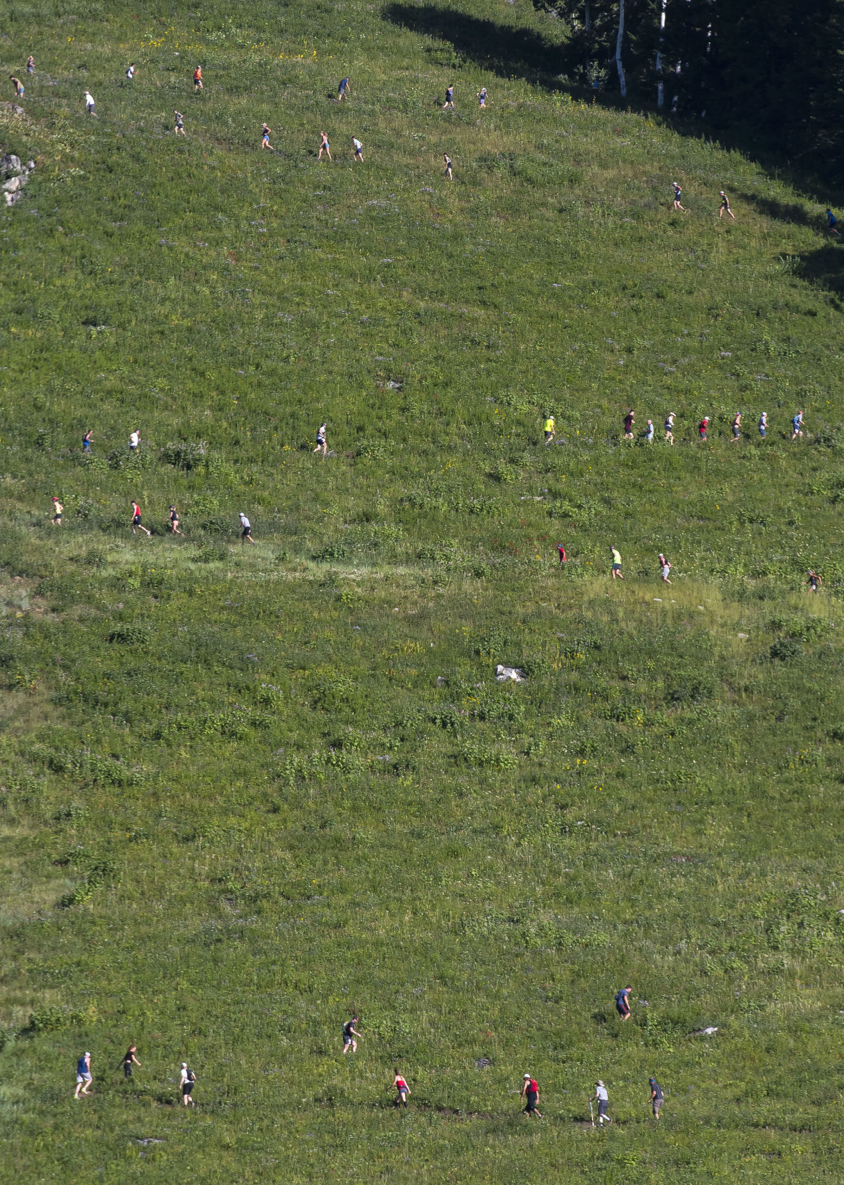 Rendezvous Mountain Hillclimb